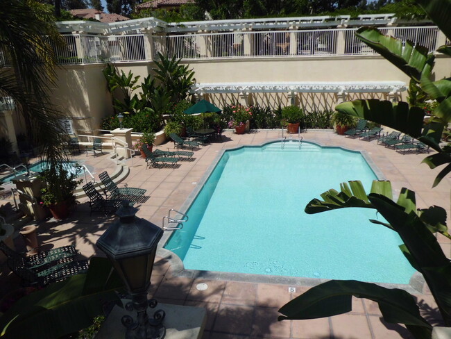 Pool and Spa - 2960 Champion Way