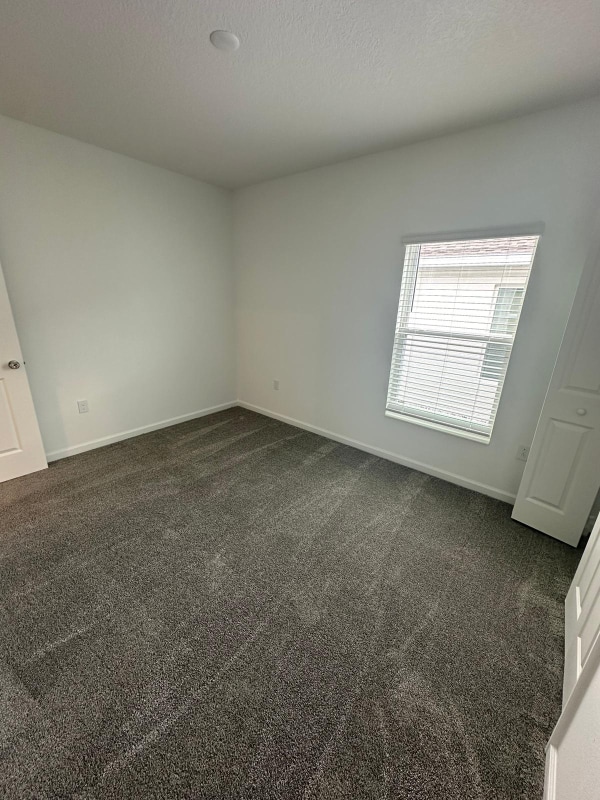 Foto del edificio - 3133 Blue Bonnet Ln