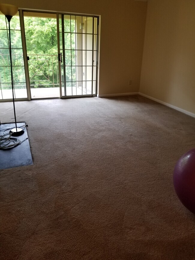 Living Room - 4 Rainflower Path
