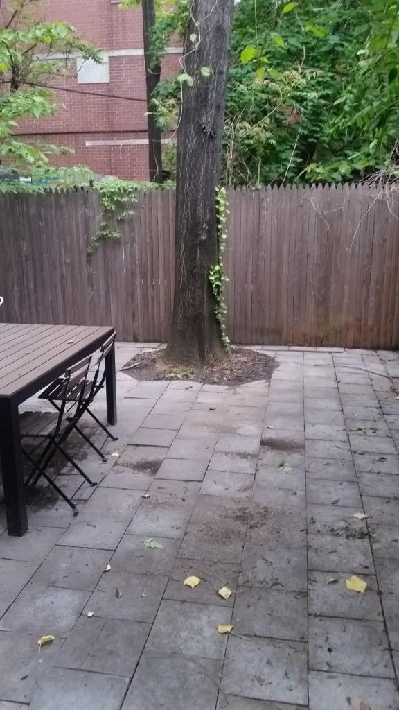 Foto del edificio - 234 W 14th St