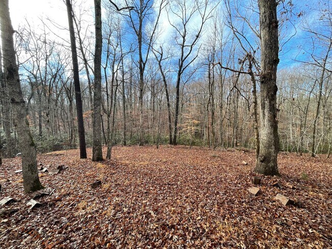 Building Photo - Lake Monticello Rental 3Bed/3Bath House