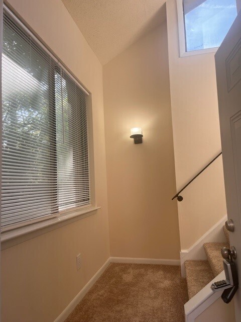 Foto del edificio - 303 Rutherglen Muse