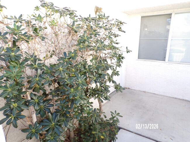 Building Photo - Cute Home