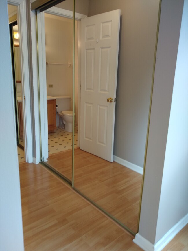 Closet/Entrance to Master Bathroom - 1426 Stonebridge Cir