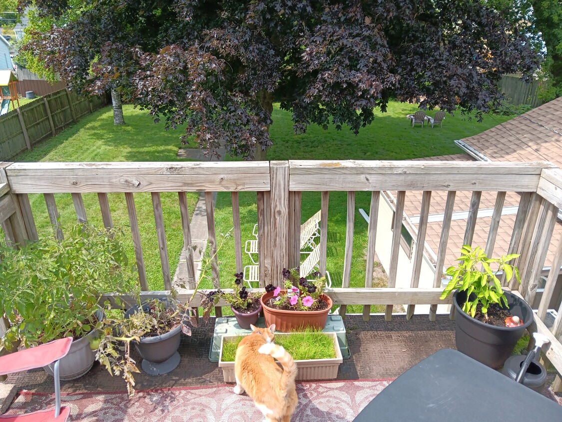 Private Balcony - 2110 Folger Ct
