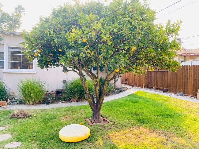 Building Photo - 2127 20th St