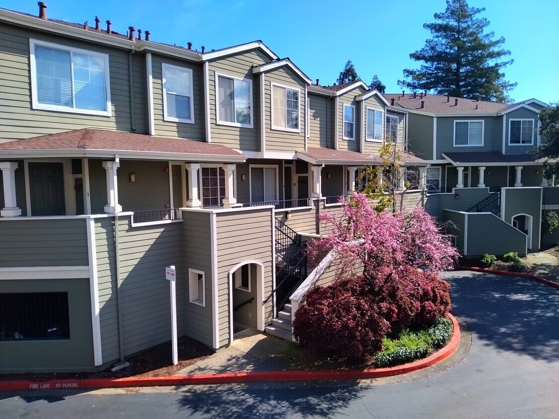 1575 S Novato Blvd, Novato, CA 94947 Townhome Rentals in Novato CA