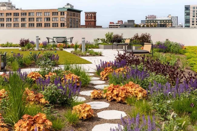 Mily on Green green roof seating - Mily on Green Apartments