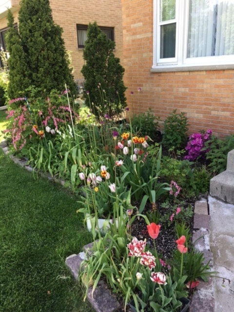 Garden - 6907 W Arthur Ave