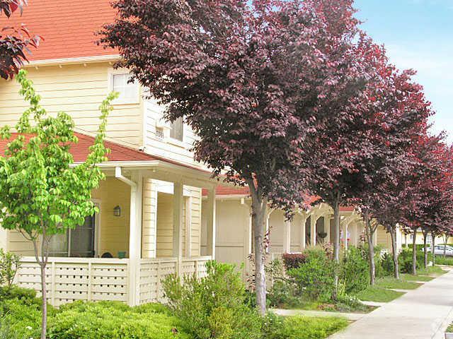 Eden Palms Apartments San Jose Eden Palms Apartments San Jose