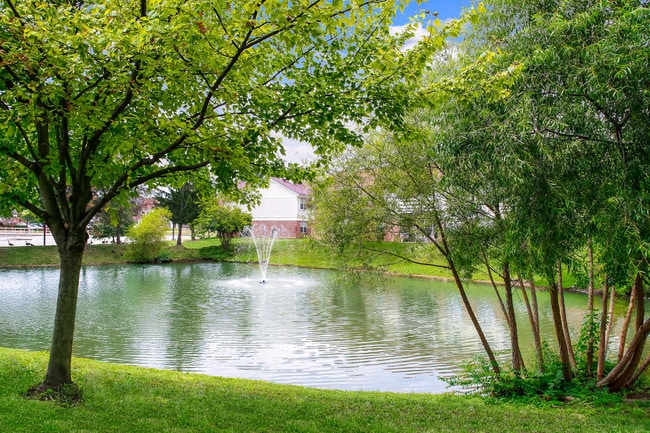 Building Photo - 7477 Shady Water Ln