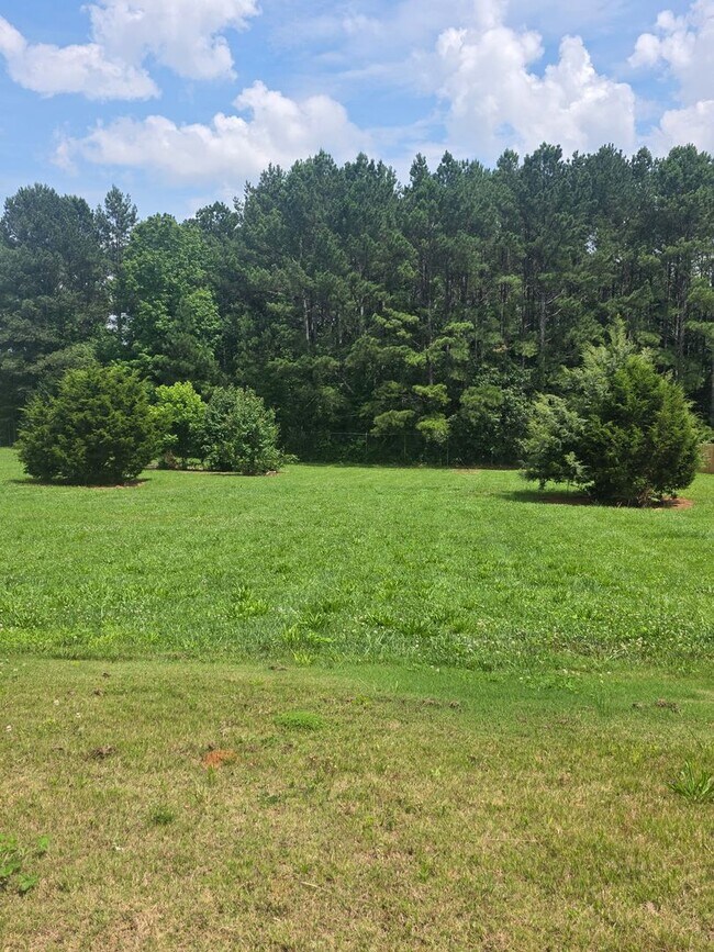 Building Photo - 3 Bedroom 2.5 bath home in Gaffney