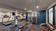 Located at 914 W Lake St in Fort Collins, Colorado, this fitness center is a well-equipped, single-floor facility designed to support a wide range of workout routines. The space features a vibrant, eye-catching geometric carpet in brown and blue tones that runs throughout, giving the room a modern and energetic aesthetic.

The cardio zone is outfitted with multiple treadmills, an elliptical trainer, and a stationary bike, all positioned near a feature wall adorned with fitness-themed typography in bold black, yellow, and blue lettering. Mounted flat-screen televisions above provide entertainment during workouts.

The strength training area includes a multi-function cable machine, a squat rack with an adjustable bench, and a full rack of dumbbells ranging across various weights. Large mirrors are strategically placed to maximize the sense of space and allow users to monitor their form. Recessed lighting throughout ensures the space is well-lit from every angle.

Glass-paneled walls and doors partition sections of the facility, adding an open, airy feel while maintaining defined workout zones. Stability balls and additional accessories are visible, rounding out the range of training options available. The overall design balances functionality with a motivating atmosphere, making it a comprehensive fitness destination.