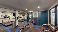Located at 914 W Lake St in Fort Collins, Colorado, this fitness center is a well-equipped, single-floor facility designed to support a wide range of workout routines. The space features a vibrant, eye-catching geometric carpet in brown and blue tones that runs throughout, giving the room a modern and energetic aesthetic.

The cardio zone is outfitted with multiple treadmills, an elliptical trainer, and a stationary bike, all positioned near a feature wall adorned with fitness-themed typography in bold black, yellow, and blue lettering. Mounted flat-screen televisions above provide entertainment during workouts.

The strength training area includes a multi-function cable machine, a squat rack with an adjustable bench, and a full rack of dumbbells ranging across various weights. Large mirrors are strategically placed to maximize the sense of space and allow users to monitor their form. Recessed lighting throughout ensures the space is well-lit from every angle.

Glass-paneled walls and doors partition sections of the facility, adding an open, airy feel while maintaining defined workout zones. Stability balls and additional accessories are visible, rounding out the range of training options available. The overall design balances functionality with a motivating atmosphere, making it a comprehensive fitness destination.