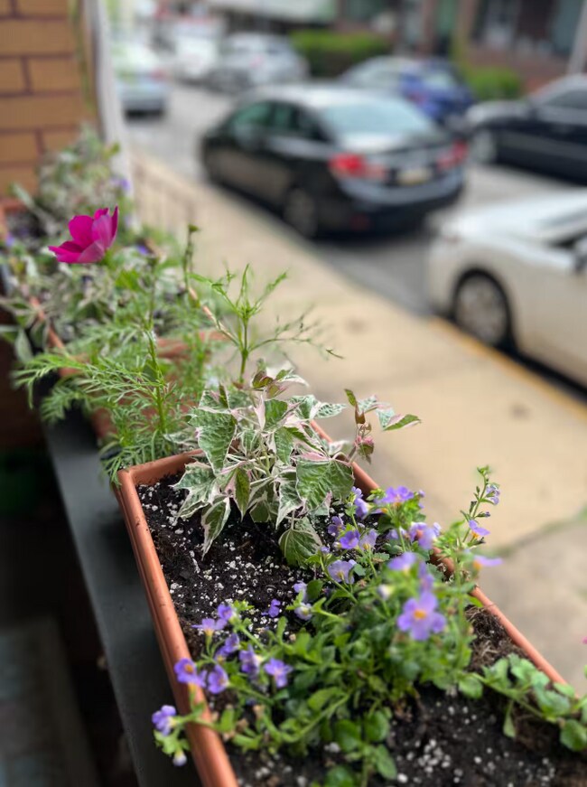 Jardineras para flores en el porche delantero - 4210 Calvin St