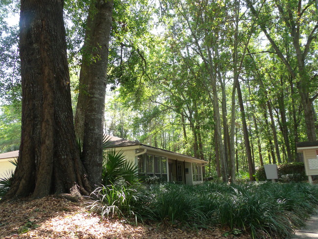 Building Photo - Creekwood Apartments