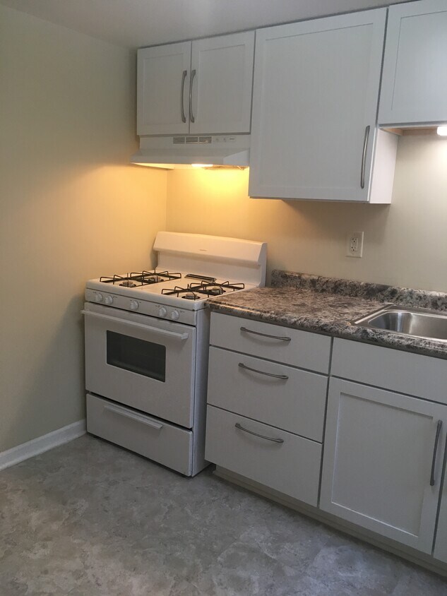 809 Lincoln Hwy Unit 5 Garden Floor, Rochelle, IL 61068 Apartments