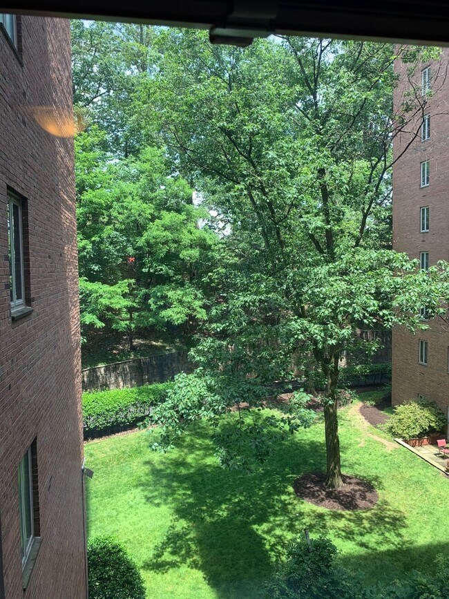 Foto del edificio - 4301 Massachusetts Ave NW