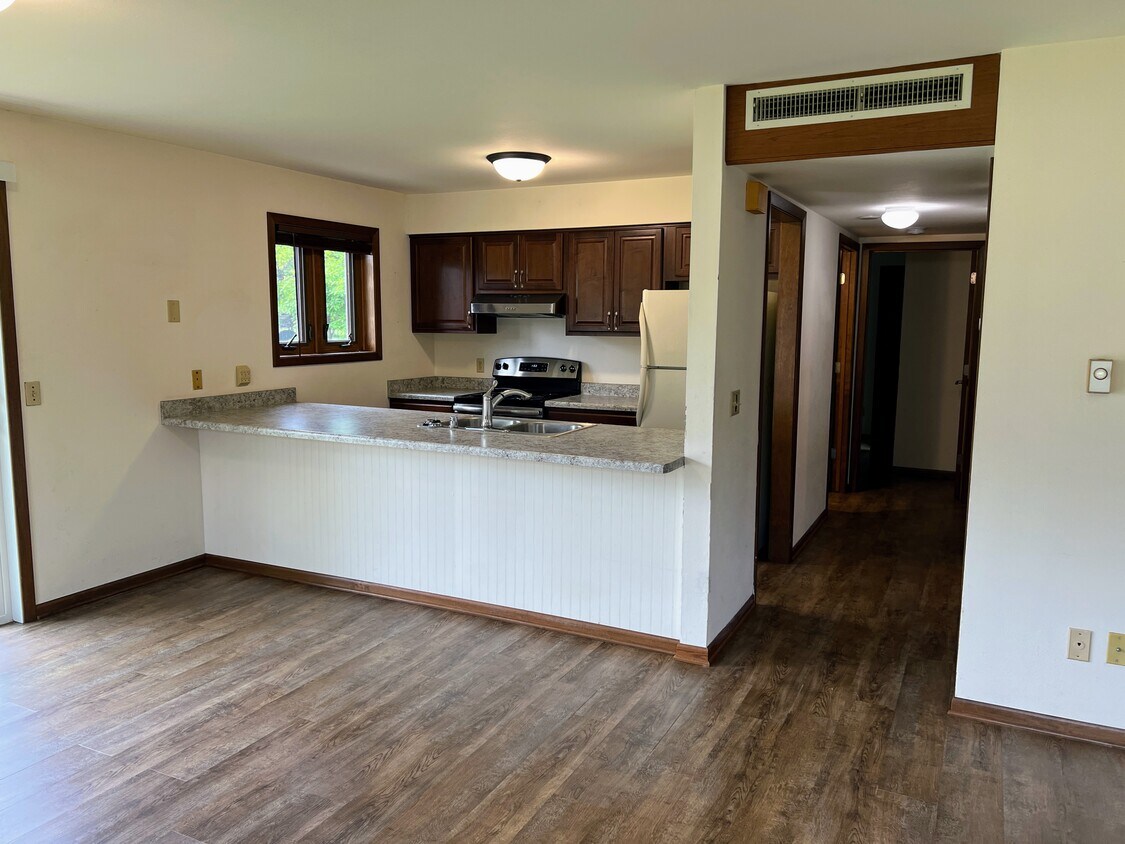 Bright Open-Concept Kitchen & Living Area - 217 Ash Street