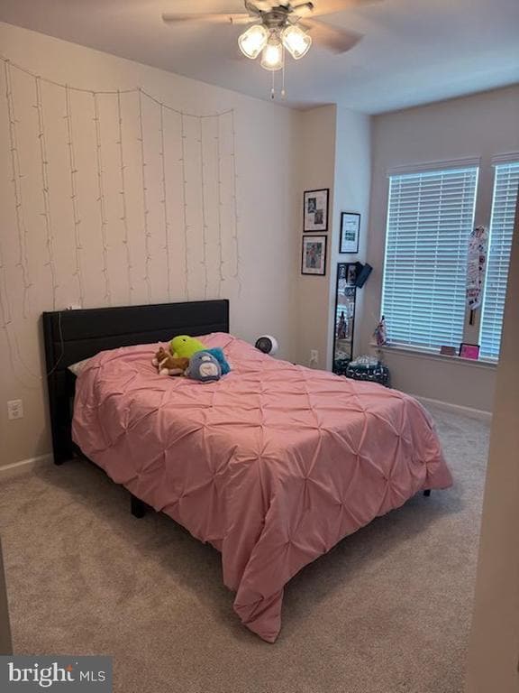 Foto del edificio - 238 Narrowleaf Way