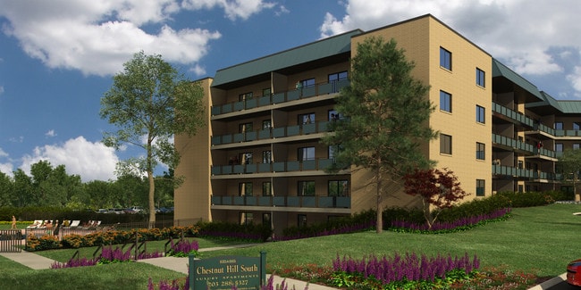 Building Photo - Chestnut Hill South