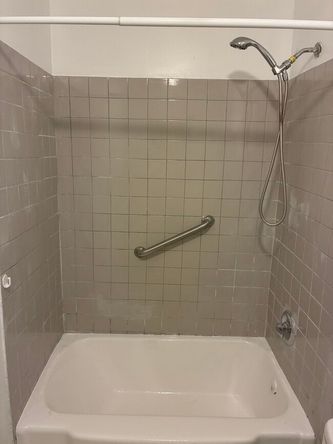 Bathtub - 306 Bear St