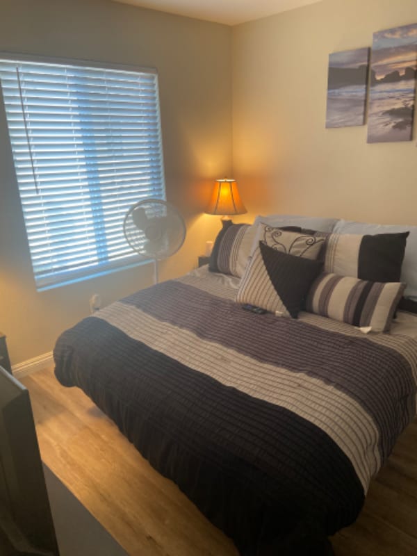 Foto principal - 10006 Fieldthorn St