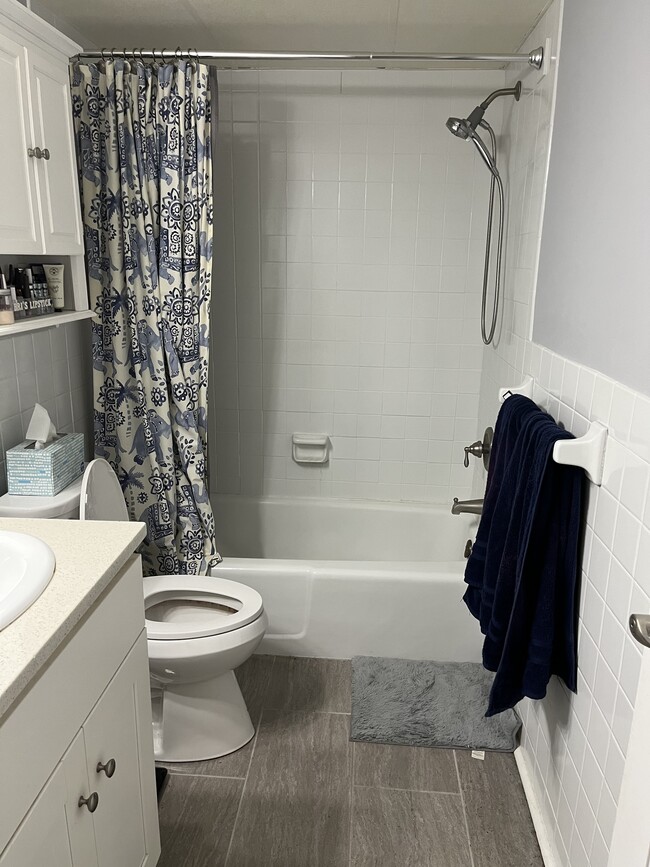 Newly redone bathroom - 250 Ridge Pike