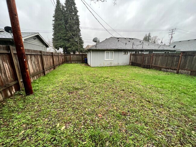 Backyard - 118 W Birch St
