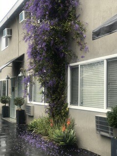 Foto del edificio - 265 Valencia W Ave