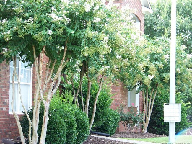 Foto del edificio - 513 Meadowland Ct