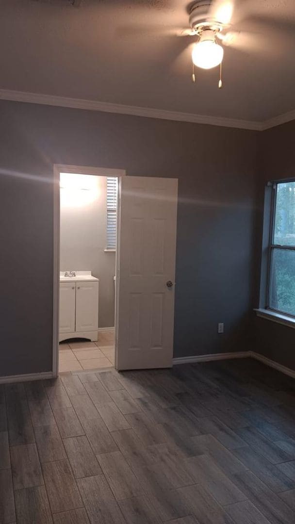 Building Photo - Completely Renovated House with a Forest as a backyard!!