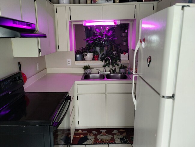 Kitchen - 2213 Waterleaf St