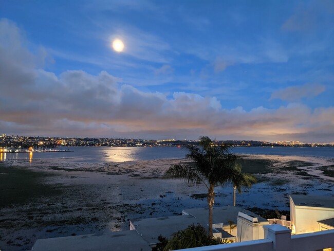 Ocean, Mesa, and Downtown views from home - 4015 Crown Point Dr