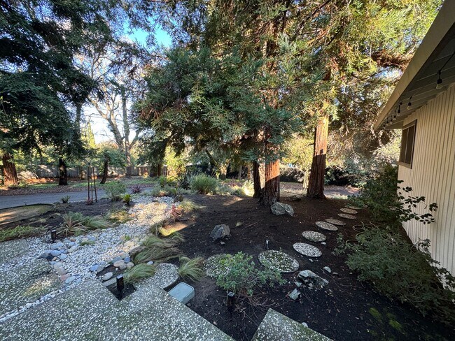 Building Photo - Gorgeous Single Level Home with Pool in Al...