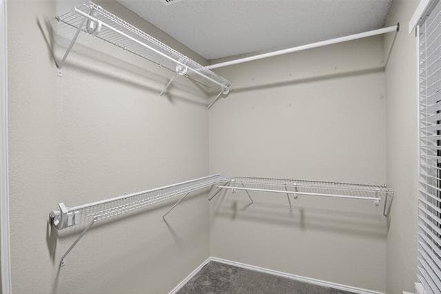Building Photo - 8412 Widgeon Way