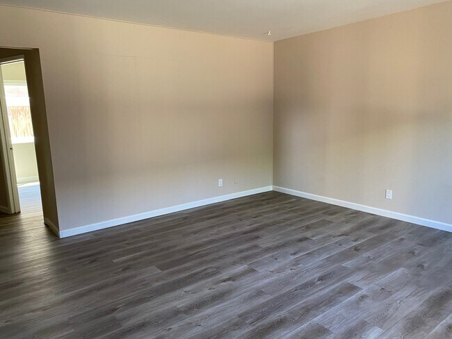 Main Room - 480 19th Ave