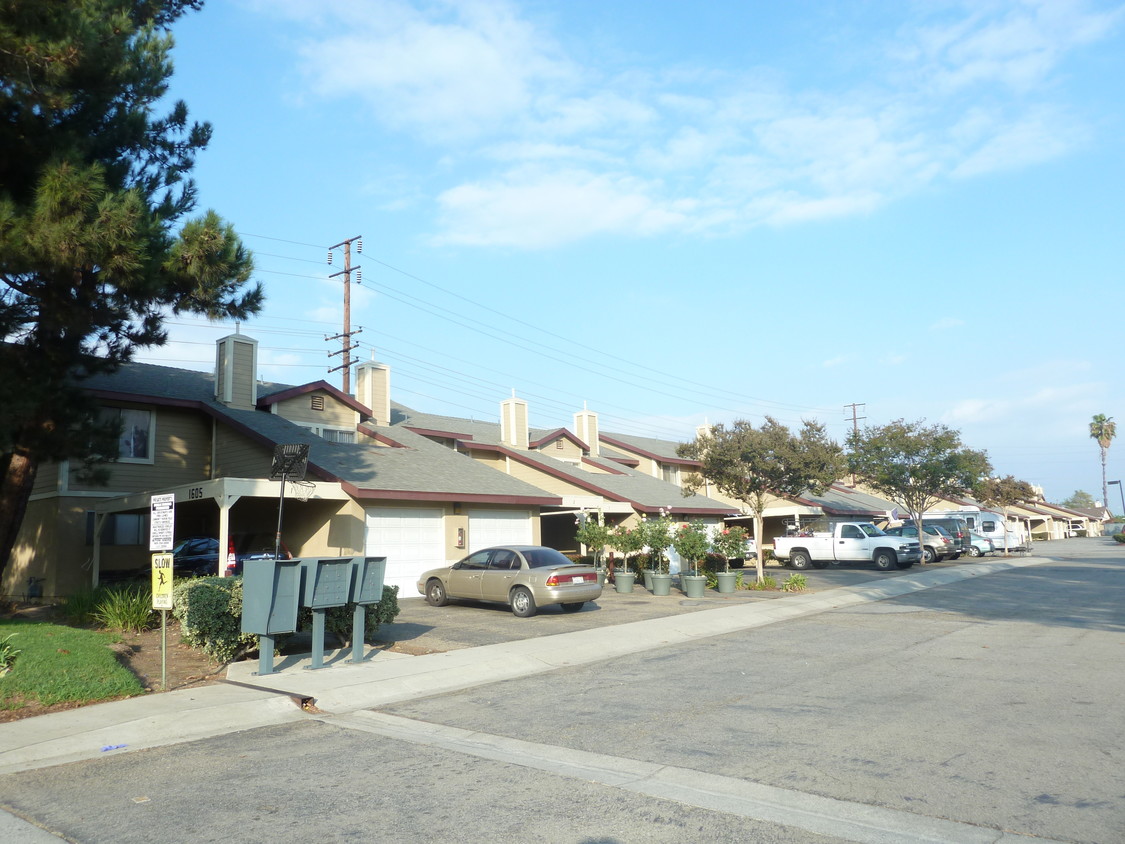 Primary Photo - Mountain Terrace Townhomes