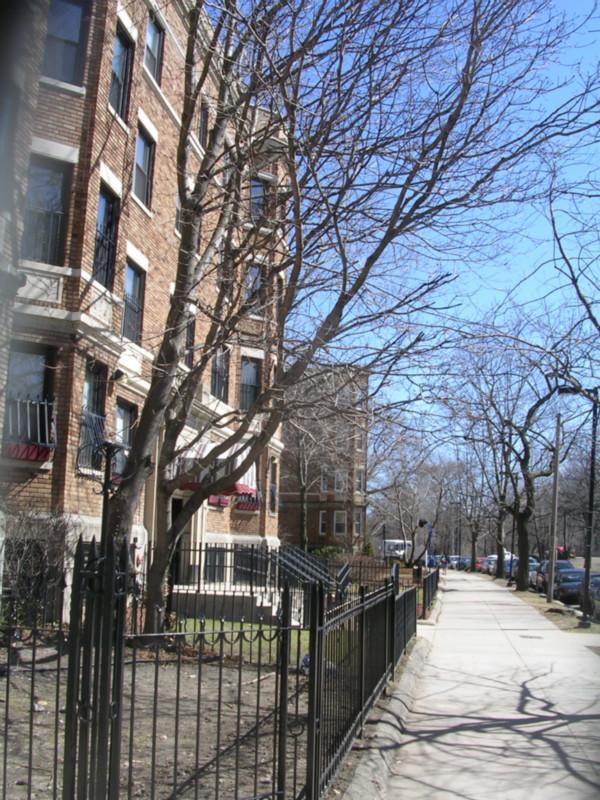 Foto del edificio - 213 Park St