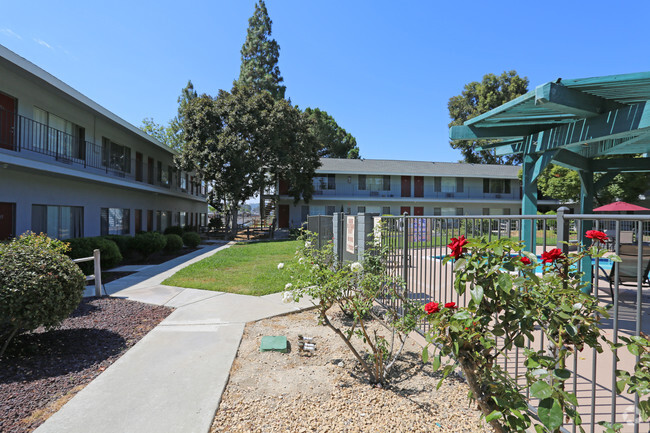 Patio - The Timbers Apartments