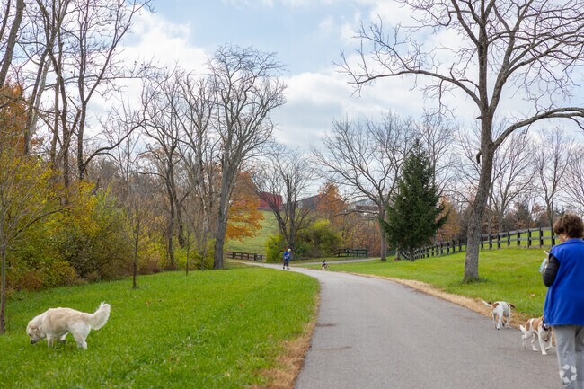 Dog owners have plenty of space to walk their pets in Union.