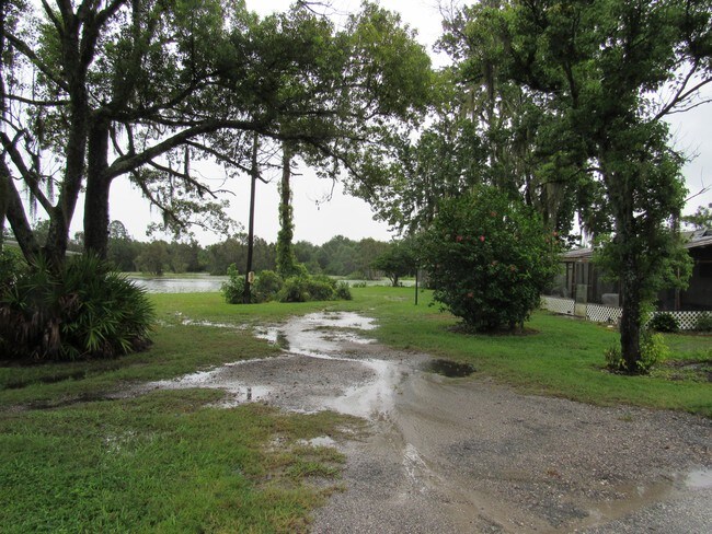 Foto del edificio - 6210 Land O Lakes Blvd