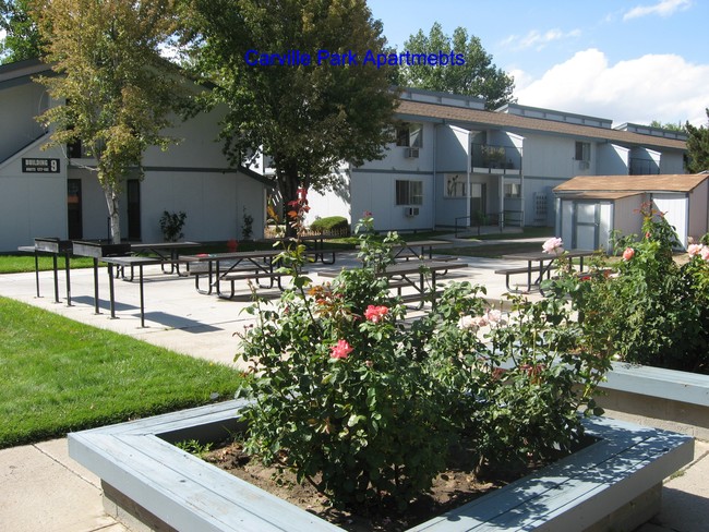 Área de picnic - Carville Park Apartments