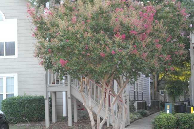Building Photo - 200 Waters Edge Ln