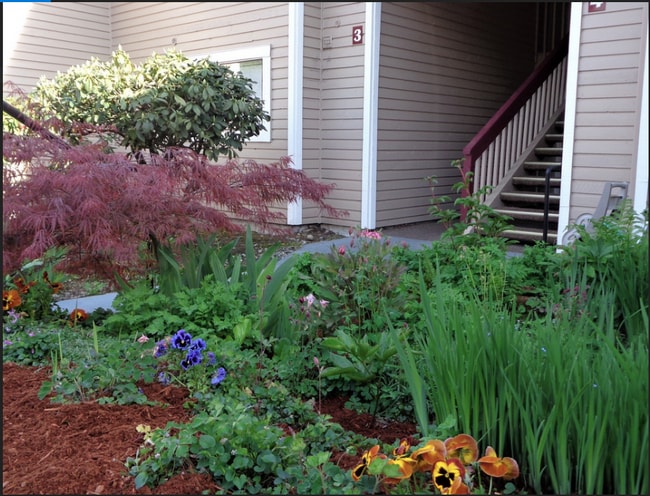 Garden, stairs to G10 - 17516 149th Ave SE