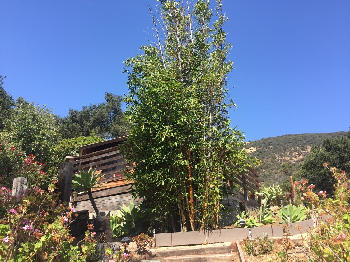 1234 N Topanga Canyon Blvd, Topanga, CA 90290 House for Rent in