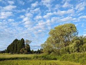 Building Photo - 19105 NE 112th Ave