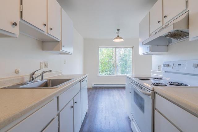 Building Photo - 2 bedroom in Seattle WA 98102