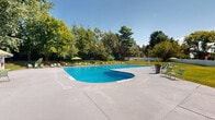 Located at 59 Marshall Rd in Rocky Hill, Connecticut, this single-level outdoor pool facility offers a well-appointed recreational environment designed for comfort and leisure. At the heart of the space is a generously sized swimming pool with vivid blue water, featuring designated lap lanes marked by buoy lines and a distinctive curved wading section that adds visual interest to the pool's layout. The surrounding concrete deck provides ample space for sunbathing and socializing, furnished with green lounge chairs and umbrellas positioned throughout.

A seating area on the deck features rattan-style outdoor furniture with coordinating green cushions, creating a comfortable gathering spot shaded by a patio umbrella. Decorative planters accent the deck and lawn areas, adding natural color to the space. A compact pool house structure sits along one edge of the property, offering a dedicated support facility for guests.

The grounds are enclosed by a white vinyl privacy fence, with lush green lawn areas and mature trees lining the perimeter, providing shade and a natural backdrop. Safety equipment, including a life ring station, is prominently placed on the deck. The open sky above and surrounding tree canopy create a bright, refreshing atmosphere well-suited for warm-weather recreation.