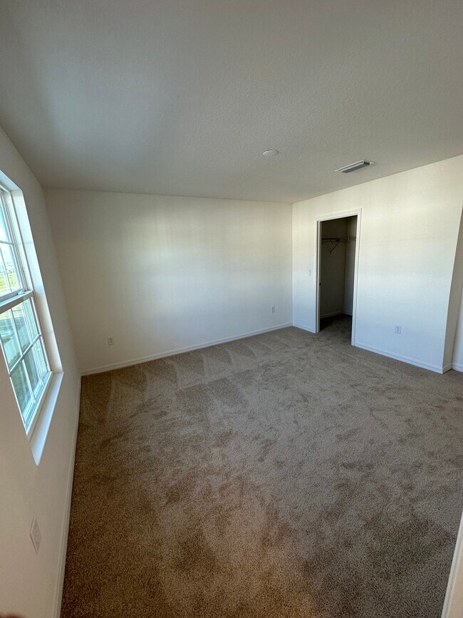 Building Photo - 1167 Sand Torch Cir